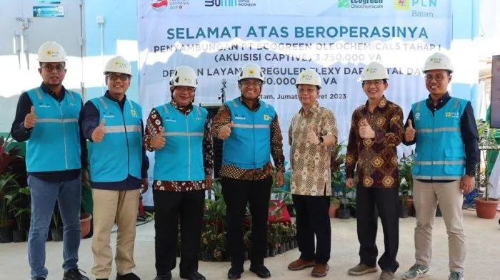 PT PLN Batam mengakuisisi beban listrik PT Ecogreen Oleochemicals