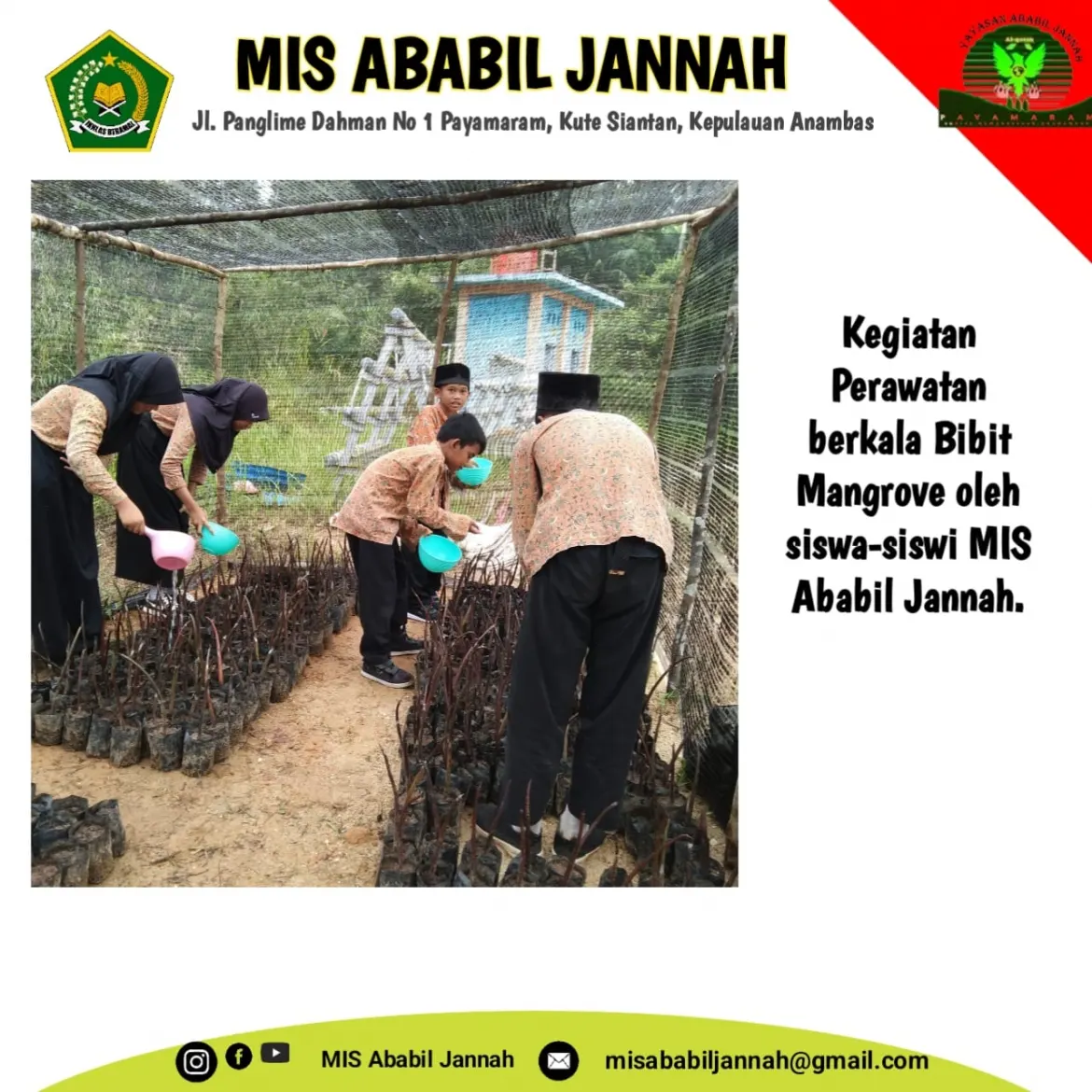 Siswa-siswi MIS Ababil Jannah Melakukan Perawatan Pada Bibit Mangrove