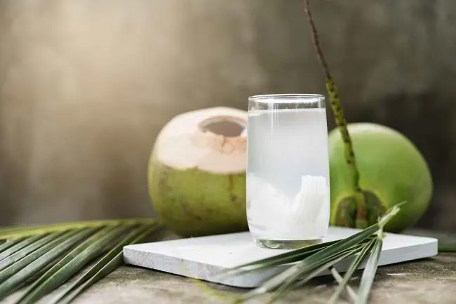 Ilustrasi Air Kelapa Muda