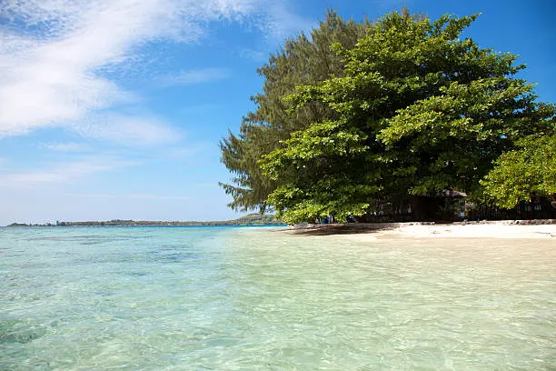 Ilustrasi pantai karimun jawa