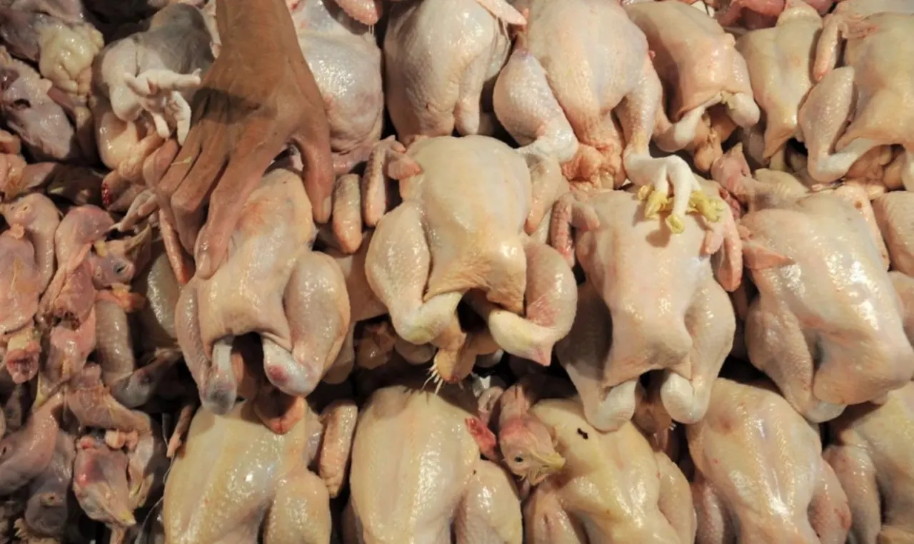 Illustrasi Harga Daging AyaM