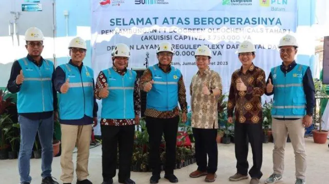 Akuisisi PT Ecogreen Oleochemicals Batam (EOB), PLN Batam Siap Pasok Listrik 30 Mega Watt