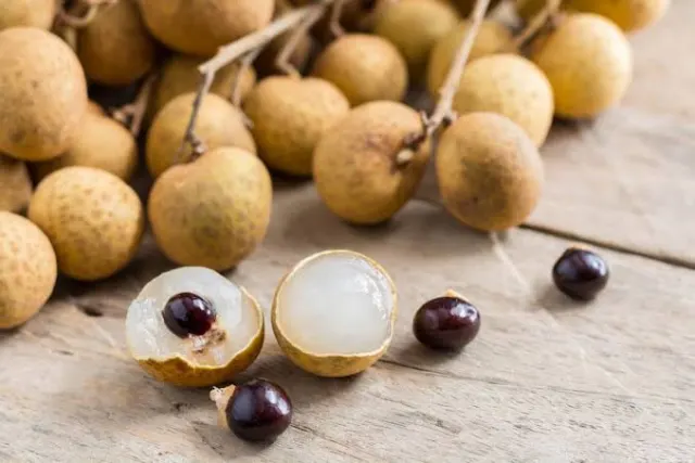 Manfaat Konsumsi Buah Kelengkeng Bagi Tubuh